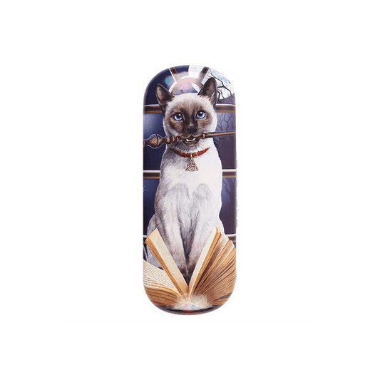 Hocus Pocus Glasses Case by Lisa Parker - DuvetDay.co.uk