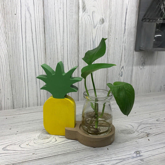 Hydroponic Home Decor - Pineapple Pot - DuvetDay.co.uk