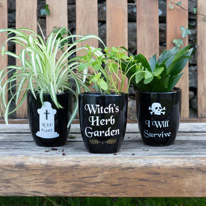I Will Survive Gothic Plant Pot - DuvetDay.co.uk