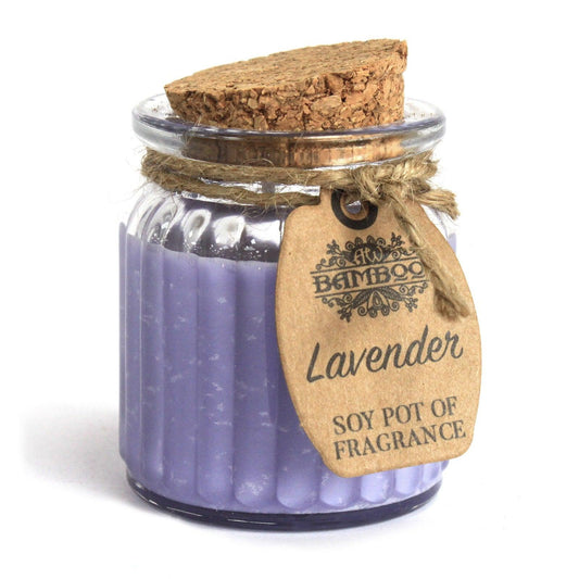 Lavender Soy Pot of Fragrance Candles - DuvetDay.co.uk