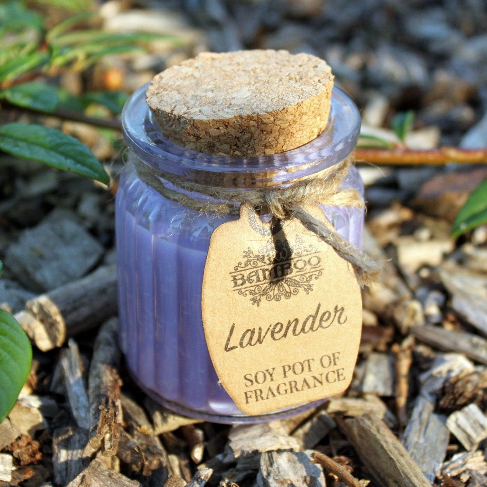 Lavender Soy Pot of Fragrance Candles - DuvetDay.co.uk