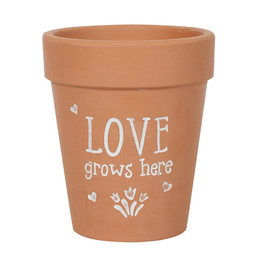 Love Grows Here Terracotta Plant Pot - DuvetDay.co.uk