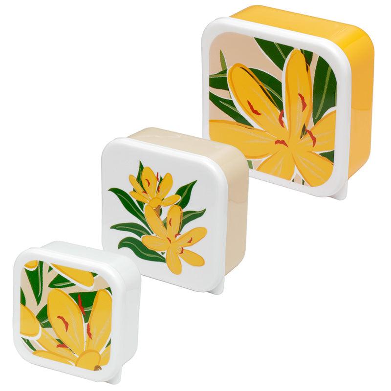 Lunch Boxes Set of 3 (M/L/XL) - Florens Hesperantha - DuvetDay.co.uk