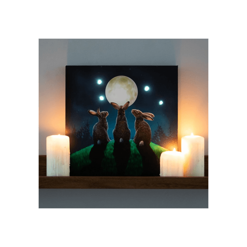 Moon Shadows Light Up Canvas Plaque by Lisa Parker - DuvetDay.co.uk