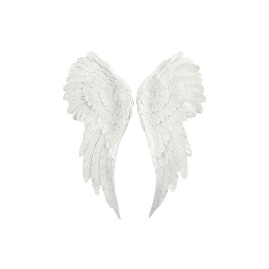 Pair of Large Glitter Angel Wings - DuvetDay.co.uk
