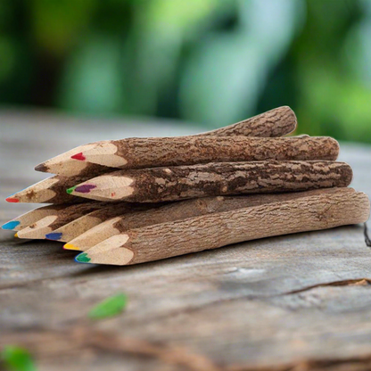 Set of 10 Twig Pencils