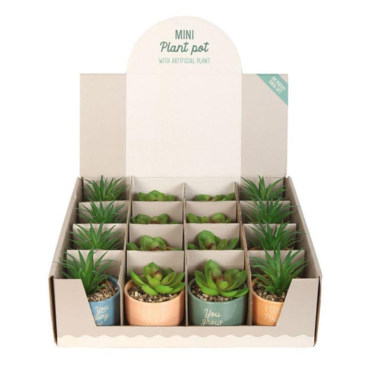Set of 16 Mini Plant Pots with Artificial Plant - DuvetDay.co.uk