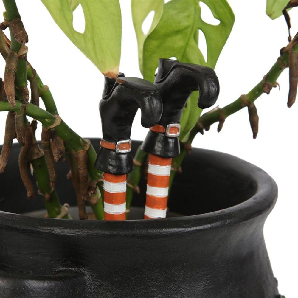 Set of 2 Witch Leg Plant Pot Ornaments - DuvetDay.co.uk