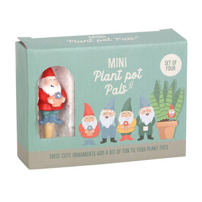 Set of 4 Mini Gnome Plant Pot Pals - DuvetDay.co.uk