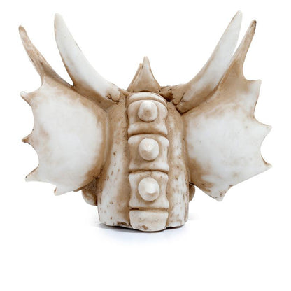 Shadows of Darkness Dragon Skull Money Box - DuvetDay.co.uk