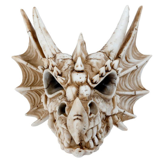 Shadows of Darkness Dragon Skull Wall Plaque - DuvetDay.co.uk