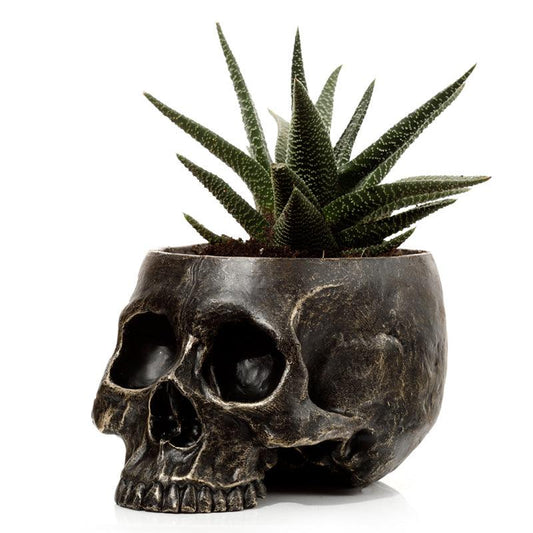 Skull Garden Planter - DuvetDay.co.uk