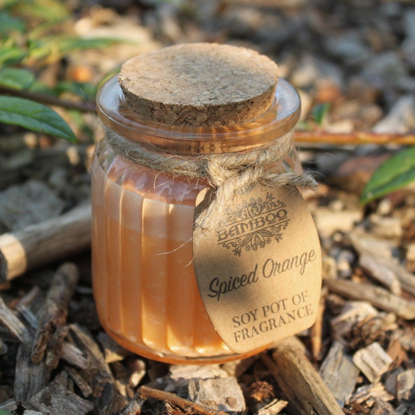 Spiced Orange Soy Pot of Fragrance Candles - DuvetDay.co.uk