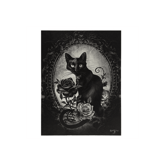 The Philosopher's Familiar Canvas Plaque by Alchemy - DuvetDay.co.uk