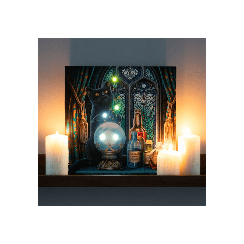 The Witches Apprentice Light Up Canvas Plaque by Lisa Parker - DuvetDay.co.uk