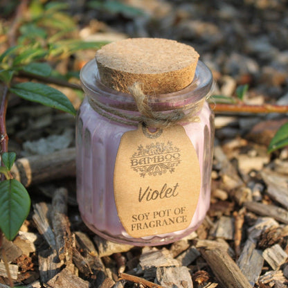 Violet Soy Pot of Fragrance Candles - DuvetDay.co.uk