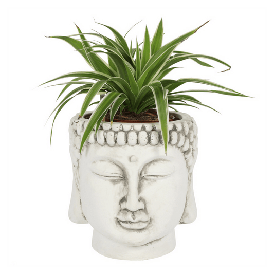 White Terracotta Buddha Head Planter - DuvetDay.co.uk