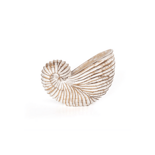 Whitewash Albasia Wood Shell Ornament - DuvetDay.co.uk