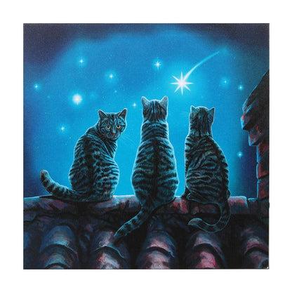 Wish Upon A Star Light Up Canvas Plaque by Lisa Parker - DuvetDay.co.uk