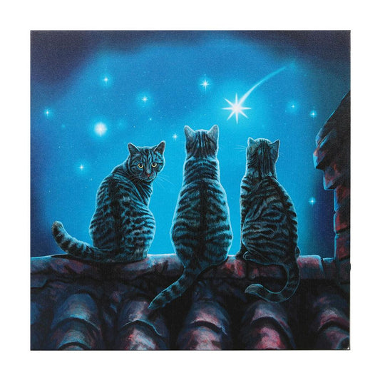 Wish Upon A Star Light Up Canvas Plaque by Lisa Parker - DuvetDay.co.uk