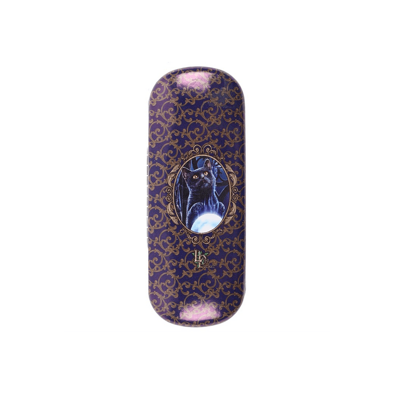 Witches Apprentice Glasses Case by Lisa Parker - DuvetDay.co.uk