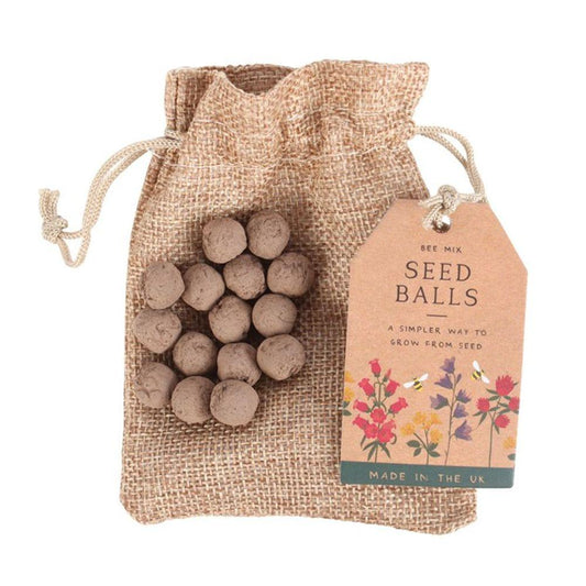 24 Garden Seed Balls in a Bag - DuvetDay.co.uk