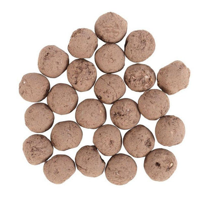 24 Garden Seed Balls in a Bag - DuvetDay.co.uk