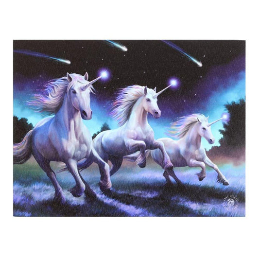 25x19cm Shooting Stars Canvas Plaque by Anne Stokes - DuvetDay.co.uk