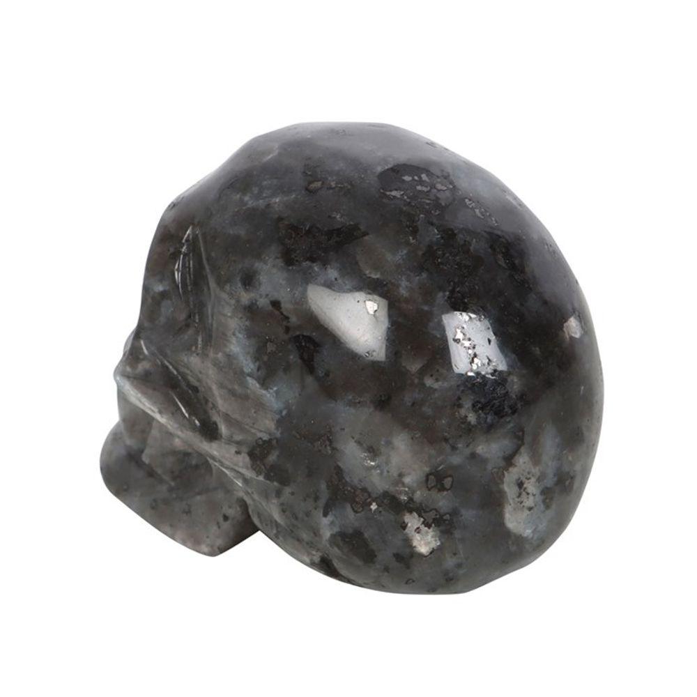 Black Labradorite Crystal Skull - DuvetDay.co.uk