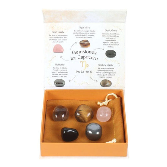 Capricorn Crystal Tumblestone Set - DuvetDay.co.uk