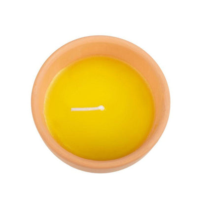 Gardener of the Year Citronella Candle - DuvetDay.co.uk