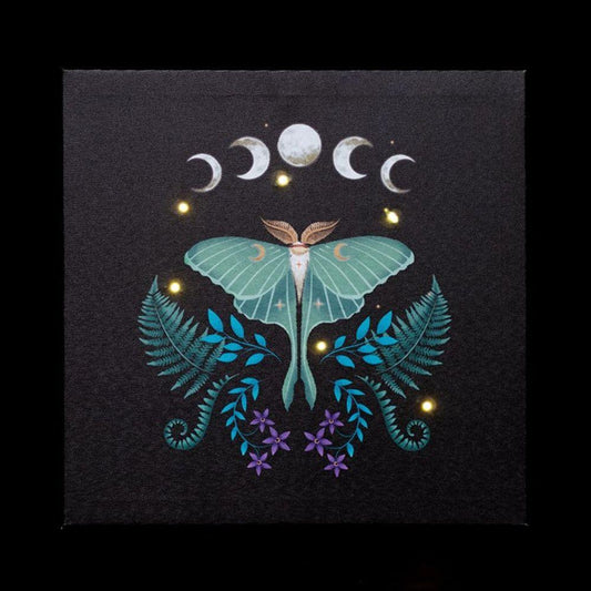 Luna Moth Light Up Canvas Plaque - DuvetDay.co.uk