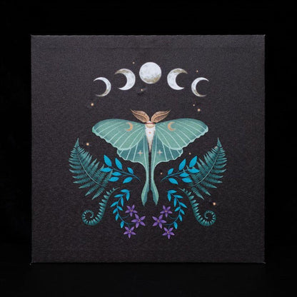 Luna Moth Light Up Canvas Plaque - DuvetDay.co.uk