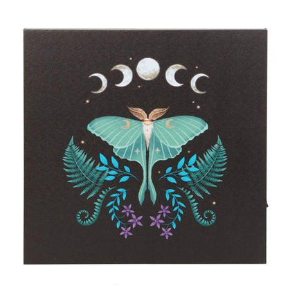 Luna Moth Light Up Canvas Plaque - DuvetDay.co.uk