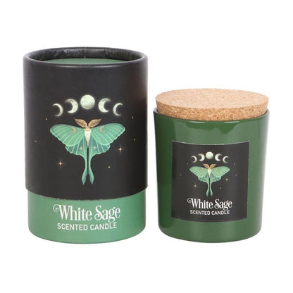 Luna Moth White Sage Candle - DuvetDay.co.uk