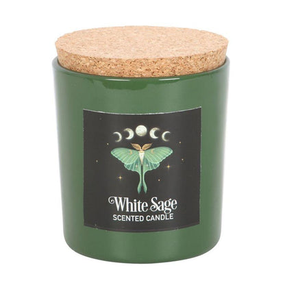 Luna Moth White Sage Candle - DuvetDay.co.uk