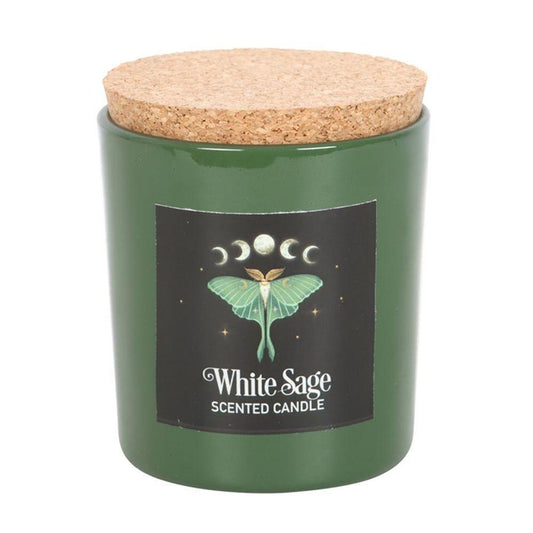 Luna Moth White Sage Candle - DuvetDay.co.uk