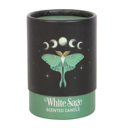 Luna Moth White Sage Candle - DuvetDay.co.uk
