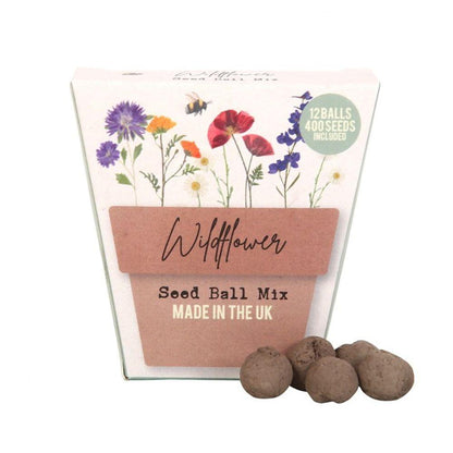 Set of 12 Wildflower Seed Balls Packs in Display - DuvetDay.co.uk
