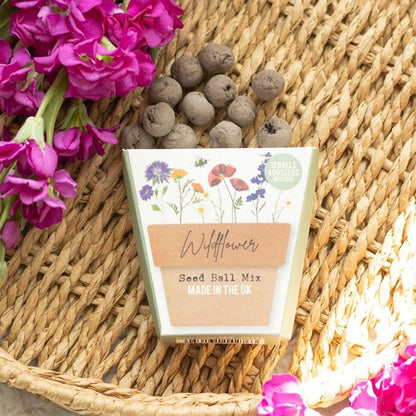 Set of 12 Wildflower Seed Balls Packs in Display - DuvetDay.co.uk