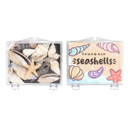 Set of 48 Souvenir Sea Shell Boxes - DuvetDay.co.uk