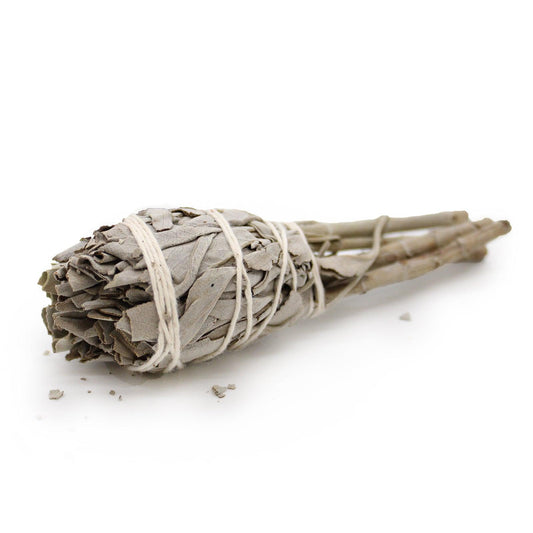 Smudge Stick - Mini White Sage Torch 10cm - DuvetDay.co.uk
