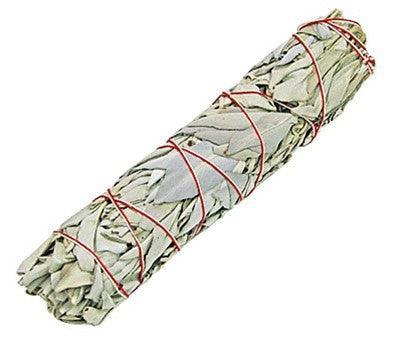Smudge Stick - White Sage 22.5 cm - DuvetDay.co.uk